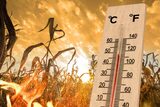 Val de caniculă peste România. Temperaturile anunțate de meteorologi