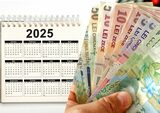 Sunt oferiți 450 de lei, în iunie 2025. Cine sunt românii care beneficiază de această sumă