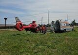Un bărbat de 50 de ani şi un copil de 4 ani au ajuns la spital după ce au fost muşcaţi de ȘERPI, în judeţul Iaşi