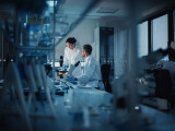 Studiu: Un gel inovator obținut din iaurt imită structura țesutului uman. Ar putea schimba radical medicina regenerativă
