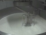 Zerul – resursa ignorată din industria lactatelor. Fără capacități de procesare, România pierde bani și oportunități