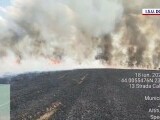 Incendiu de proporții într-o comună din județul Dolj. Zeci de hectare au fost complet distruse. Care a fost cauza