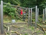 Copacul care a omorât un tânăr pe Aleea de sub Tâmpa era verde. Reprezentantul Primăriei: „s-a dezrădăcinat”