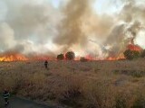 Un ieșean care sărise să stingă un incendiu de vegetație a fost amendat ”din dușmănie” de poliție cu 15.000 lei