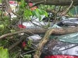 Furtunile au făcut prăpăd în aproape toată țara. Vântul a pus la pământ copaci și stâlpi de electricitate. „M-am (…)