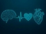 România are în premieră o Strategie Națională pentru Combaterea Bolilor Cardiovasculare și Cerebrovasculare
