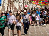 Unde se câștigă cel mai bine în România. Domeniile cu cele mai mari salarii medii nete