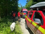 Un tânăr a fost atacat de câini în Munţii Făgăraş. „A fost muşcat foarte grav. Din păcate, căţelul lui a fost omorât”
