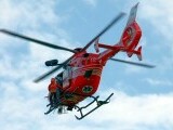 Un minor de șapte ani a fost mușcat de o viperă în Maramureș. A fost preluat la spital cu un elicopter