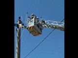 Operațiune de salvare contracronometru în Giurgiu. O barză și-a prins picioarele într-un cablu de înaltă tensiune | (…)