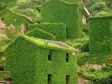 Un sat abandonat din China, înghițit de natură. Vegetația a acoperit complet casele uitate de localnici. FOTO