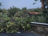 Peste 2.200 de bihoreni nu au curent electric după furtună. 15 echipe acționează pentru remedierea defecțiunilor