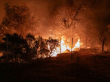 Sudul Europei, în alertă din cauza incendiilor. Flăcările au înghițit case în doar câteva minute, în Grecia și Turcia
