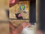 Doi bărbați, arestați după ce au încercat să introducă ilegal în România cinci migranți ascunși într-un microbuz. VIDEO