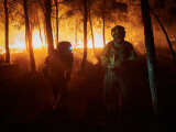 Un român a murit în incendiile de vegetație din Spania. Lucra la un centru ecvestru care a fost cuprins de flăcări