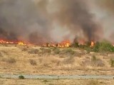 Incendiu fără precedent în orașul Târgu Jiu. 200 ha de vegetație au ars