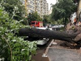 Pagube provocate de furtună, în mai multe zone din țără. Un drum a fost acoperit de aluviuni la Bistriţa-Năsăud
