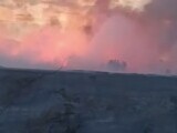 Incendiu de vegetație în Deltă. 25 de hectare de vegetație uscată s-au făcut scrum lângă Mahmudia