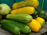 Zucchini: beneficii, rețete și sfaturi de cultivare. Cum să introduci această super legumă în dieta ta