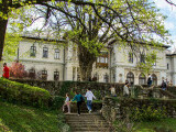 Palatul Cotroceni, mai valoros după reparații și modernizări. Domeniul a câștigat 300 milioane în plus în ultimii (…)
