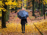 ANM a emis prognoza meteo pentru următoarele 4 săptămâni. Temperaturile vor crește ușor spre finalul lunii