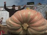 Cum a reușit un american să obțină un dovleac de 1.064 de kilograme. Sunt două condiții esențiale