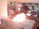 Câinele familiei a provocat un incendiu în timp ce se juca în sufragerie cu o baterie. Avertismentul proprietarului. (…)
