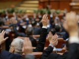 Au intrat banii de partide. Câte milioane au încasat din bugetul public PSD, AUR și PNL, cei mai mari beneficiari