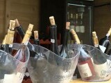 Românii au golit paharele la festivalul vinului din Cetatea Alba Carolina. „Un vin roze foarte bun”