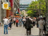 Sondaj CURS: Bucureștenii nu vor alegeri prea curând și resping ideea unui candidat comun al coaliției
