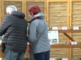 Ciupercile, atracția weekendului la Iași. 250 de soiuri, inclusiv cea mai toxică din Europa, au fost expuse publicului