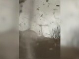 Dezastru lângă Paris. Un mort și nouă răniți după ce au căzut trei macarale. Una a lovit o clădire locuită