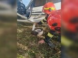Aterizare de urgență la un aerodrom din județul Neamț. Intervenția pilotului a făcut diferența