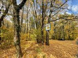 Mircea Fechet: Suntem cu ochii pe Caraș-Severin, Gorj, Mehedinți, Dolj și Timiș. Sunt cele mai vulnerabile județe în (…)