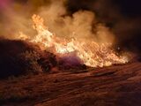 Un incendiu de proporții a izbucnit la groapa de GUNOI de lângă municipiul Galați, la fel ca și anul trecut. Cât a (…)