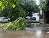 Peste 1.000 de dosare de daună deschise doar în primele 2 săptămâni din iunie, ca urmare a inundațiilor și (…)