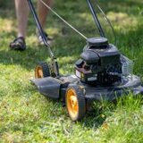 Adaugă suflet spațiului în care trăieşti: idei care transformă casă (P)