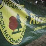Angajații Romsilva au primit, în ultimii 7 ani, bonusuri de peste un miliard de lei