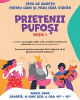 Târg de adopții „Prietenii Pufoși” în Parcul Obor: Zeci de animale își caută o casă iubitoare