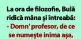 BANC | Bulă și profesorul de filozofie
