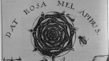 Rosicrucianismul, trandafirul etern și căutarea sensului. Credința că membrii săi posedă o înțelepciune secretă care (…)