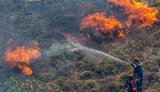 Un incendiu de vegetație face ravagii lângă Atena. Localnicii au fost îndemnați să se evacueze (Foto & Video)