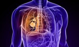 De ce cancerul pulmonar lovește tot mai mulți nefumători – ce trebuie să știi. Factorii surprinzători care îți pun (…)