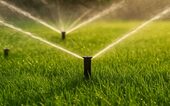 Unde trebuie puse aspersoarele pentru a avea un gazon perfect fără să consumi multă apă. Locul pe care îl recomandă (…)