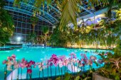 Cel mai mare festival de wellness dedicat terapiilor pe bază de plante revine la Therme Bucureşti