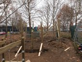 Primăria a demarat lucrările la un proiect votat de către orădeni prin bugetarea participativă