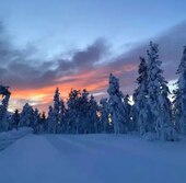 Unde-și petrec românii sărbătorile de iarnă: de la vacanțe însorite în locuri exotice, la peisaje autohtone și (…)