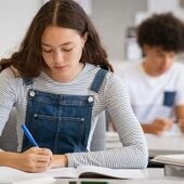 Se reiau programele Flex, prin care liceenii români pot studia în Statele Unite. Până când se pot înscrie | AUDIO