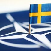 Parlamentul Ungariei ratifică aderarea Suediei la NATO. Stoltenberg: „Suedia va deveni al 32-lea aliat NATO”