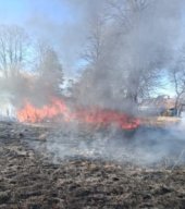 Vrancea: Incendiu de vegetaţie în proximitatea DJ 204, pe direcţia Focşani – Suraia
